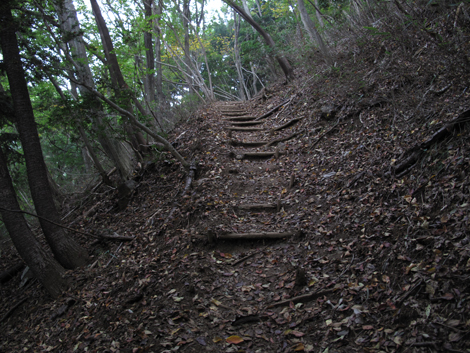 20151021hike (42)